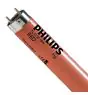 Philips MASTER TL-D 18W - Rosso | 60cm